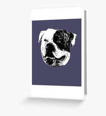 American Bulldog Greeting Card
