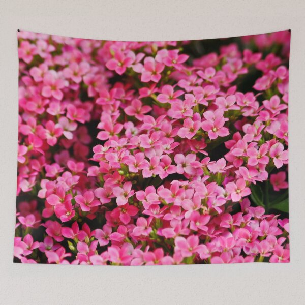 Item preview, Pretty Pink ( anyone know the name please ) designed and sold by AnnDixon.