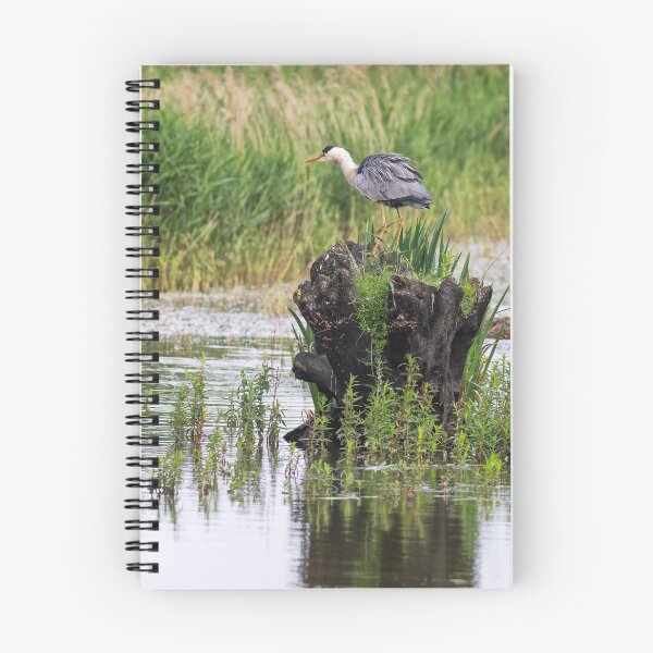 Item preview, Grey Heron (view point) designed and sold by lyttonimages.