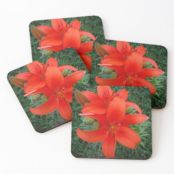Item preview, Hot Trop designed and sold by TSinclairArt.