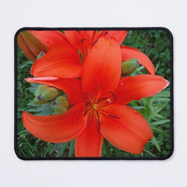 Item preview, Hot Trop designed and sold by TSinclairArt.