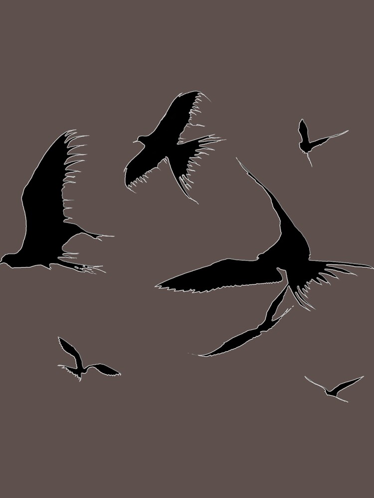 Frigate Birds - Ascending by Etakeh