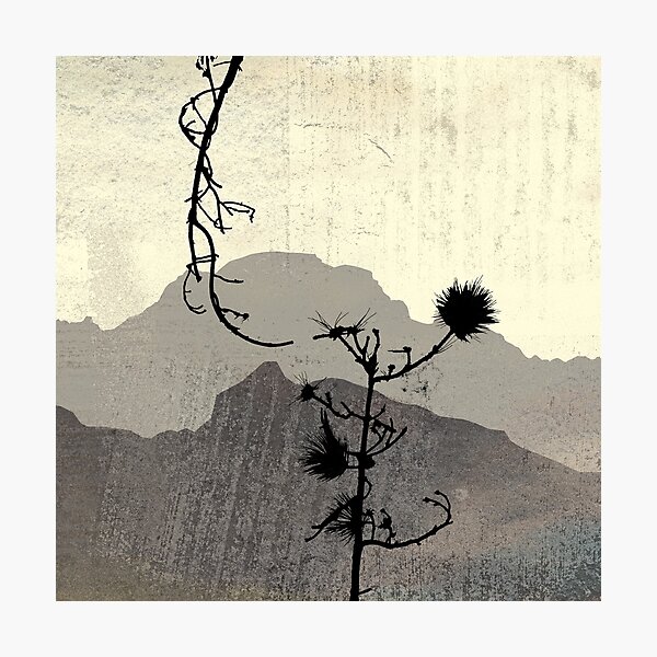 Waiting for Summer Photographic Print