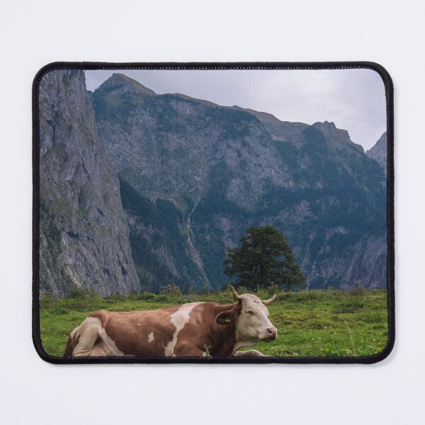 Item preview, Cow on the grass in the German countryside of Berchtesgaden designed and sold by WorldScenery.