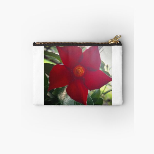Item preview, Satisfactoriamente iluminado por el sol designed and sold by TSinclairArt.