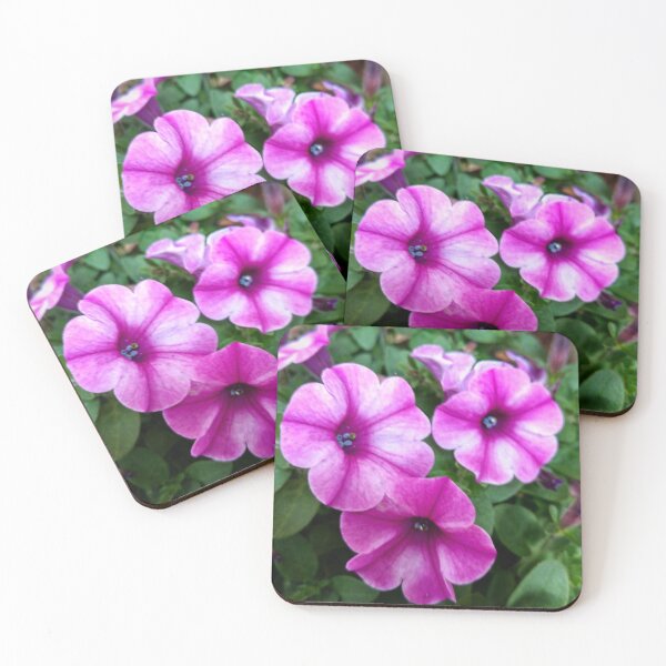 Item preview, Pretty in Pink Petunias  designed and sold by TSinclairArt.