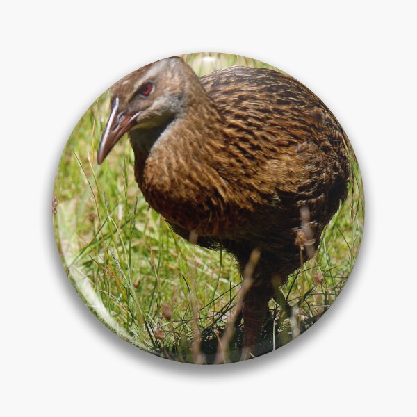 Item preview, Wanting a Weka (1) designed and sold by Larry Davis.