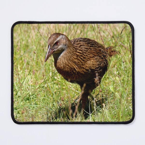 Item preview, Wanting a Weka (1) designed and sold by Larry Davis.