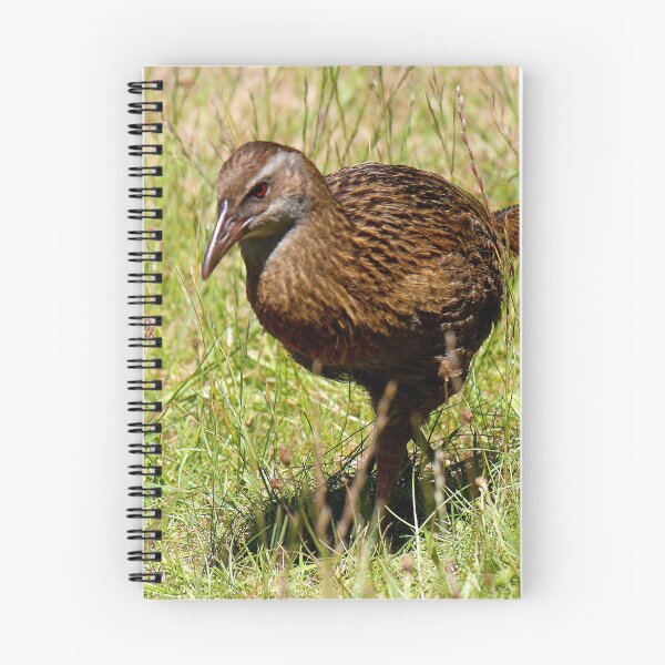 Item preview, Wanting a Weka (1) designed and sold by Larry Davis.