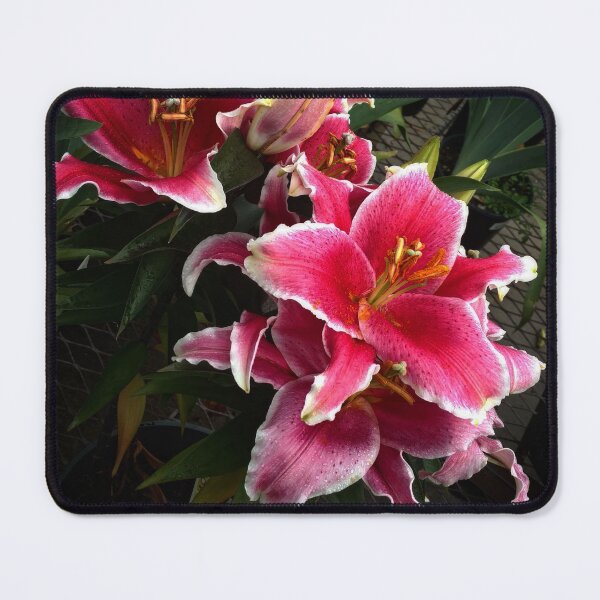 Item preview, Oriental Ones designed and sold by TSinclairArt.