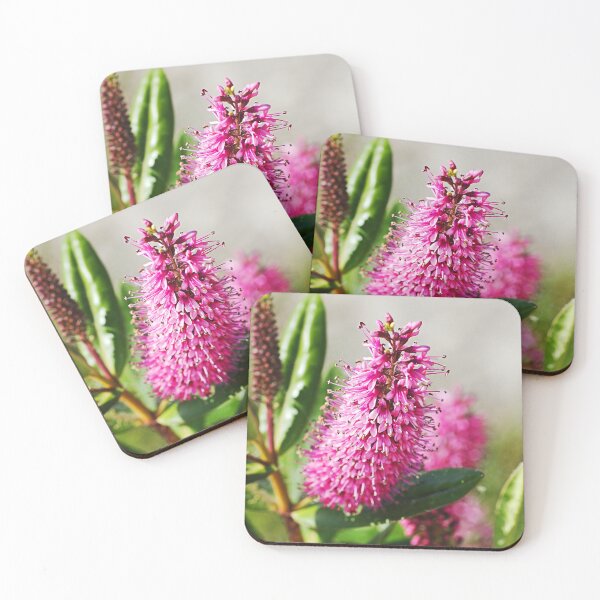Item preview, Hebe Flowers In Pinks designed and sold by Joy Watson - Natural Light Photography .