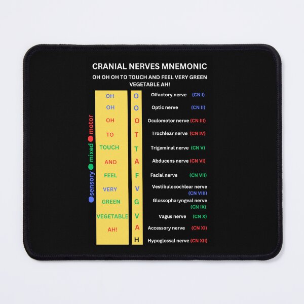 Item preview, Cranial nerve mnemonic  designed and sold by Pratyush1111.