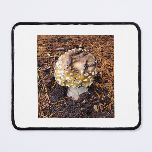 Item preview, Gross Mushie designed and sold by moon.over.pnw.