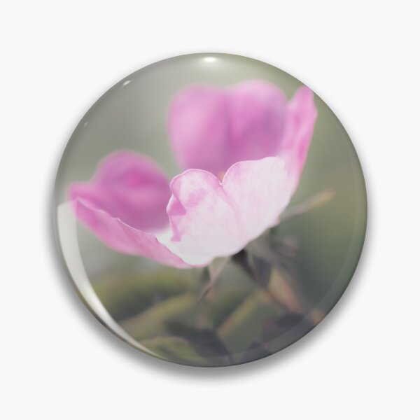 Item preview, Soft Pink Rosa 01 designed and sold by Tanya C  Smith.