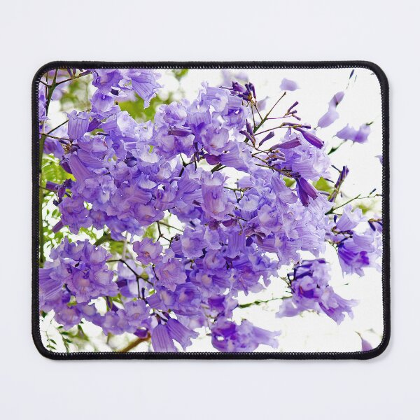 Item preview, Jacaranda flower designed and sold by manoloshoping.