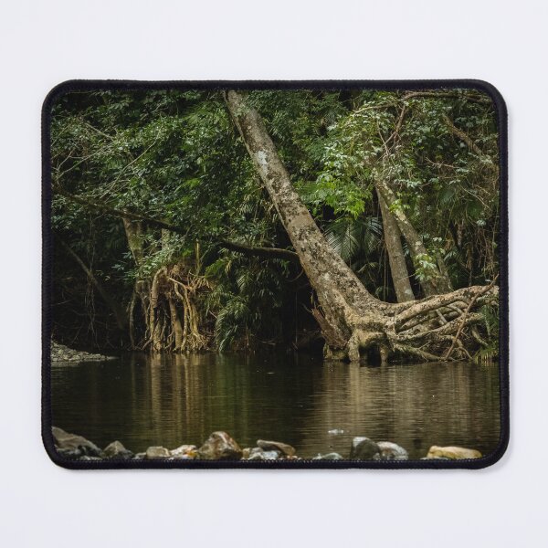 Item preview, Tree with exposed roots, Daintree National Park designed and sold by Images by Chris de Blank.