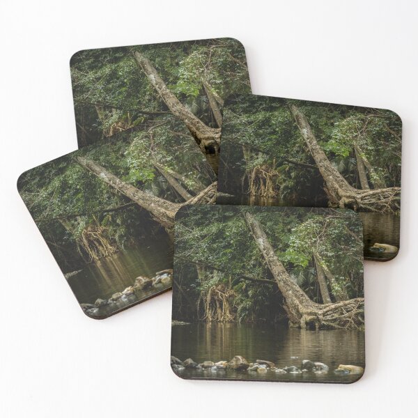 Item preview, Tree with exposed roots, Daintree National Park designed and sold by Images by Chris de Blank.