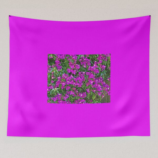 Item preview, Bougainvillea or bougainvillea designed and sold by manoloshoping.
