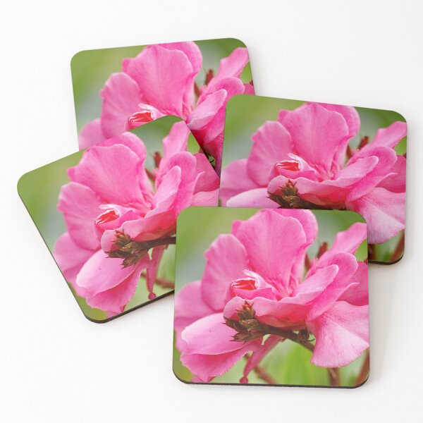 Item preview, Nerium oleander or pink chorus flower designed and sold by manoloshoping.