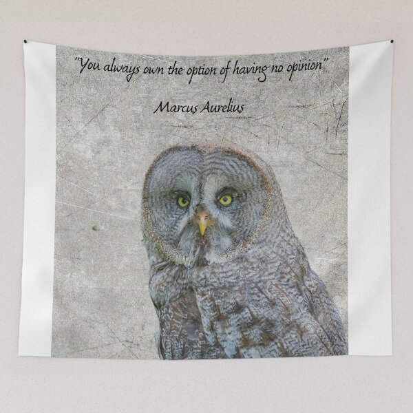 Item preview, You always own the option of no opinion designed and sold by Photopat.