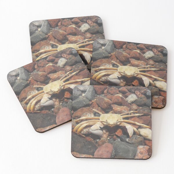 Item preview, The Hidden Crab: Marine Life Among Sandy Rocks designed and sold by MouhamedAdel95.