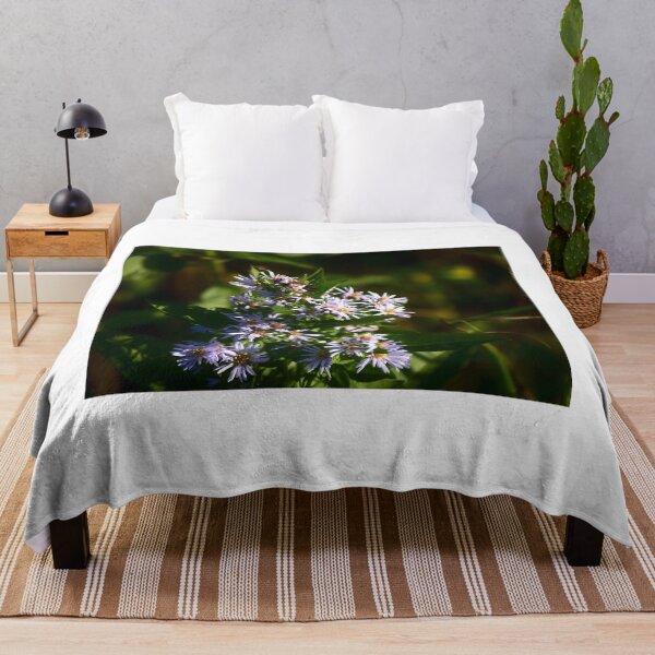 Item preview, American Asters At Orlando Wetlands Park designed and sold by MercerImages.