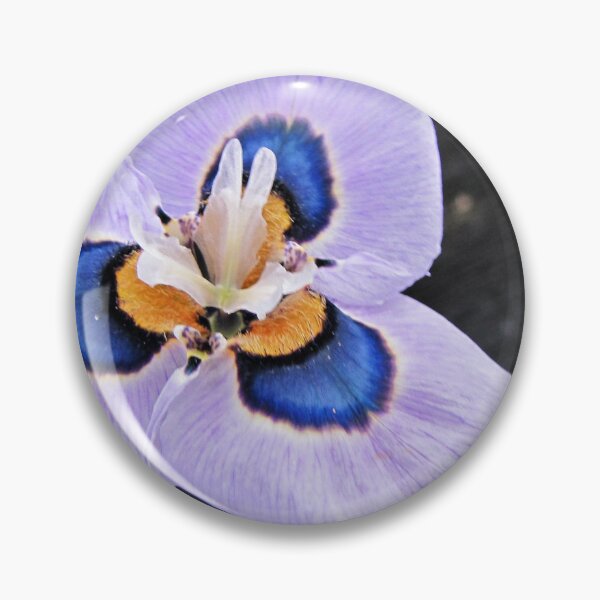 Item preview, Peacock Moraea - Moraea villosa designed and sold by BiodiversityRocks.