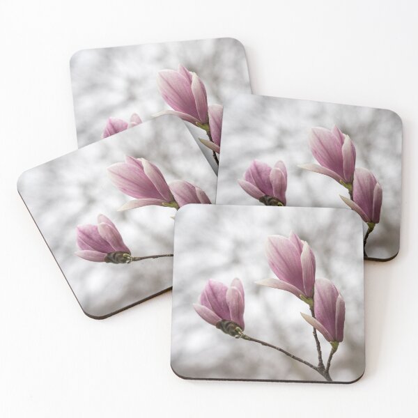 Item preview, Magnolia Bloom Trio - Happy Springtime Floral designed and sold by Georgia Mizuleva.