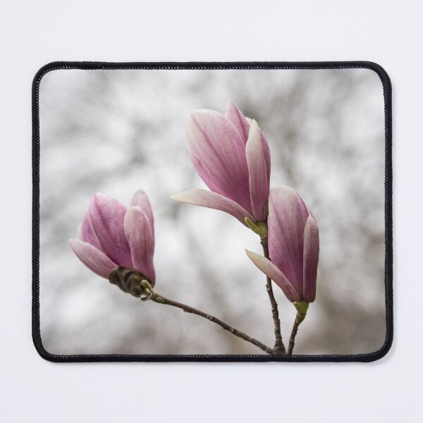 Item preview, Magnolia Bloom Trio - Happy Springtime Floral designed and sold by Georgia Mizuleva.