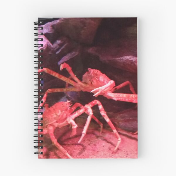 Item preview, Hi Mr Krabs (Kyoto) designed and sold by windraider.