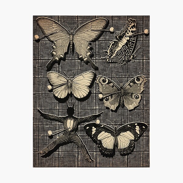 Item preview, The Collection  designed and sold by Metafables.