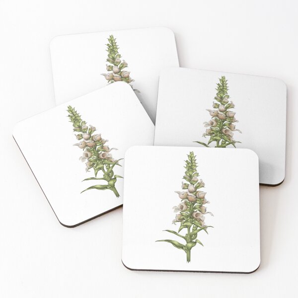 Item preview, Foxglove - Digitalis designed and sold by TasiaZenzura.