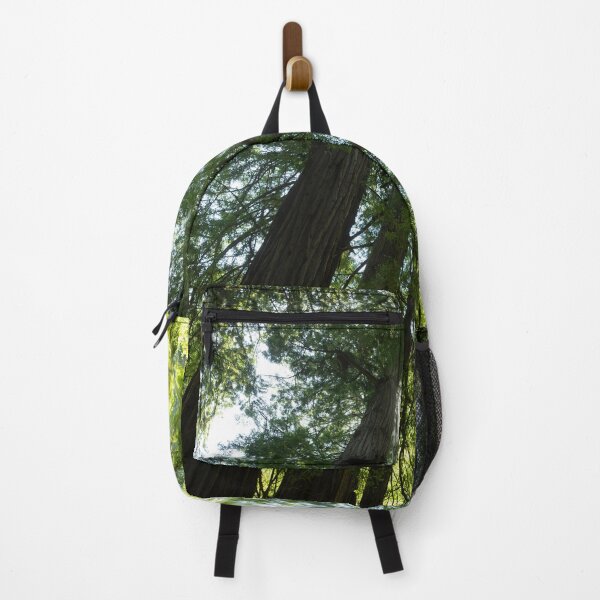 Item preview, Forest of tall trees in Muir Woods, California in 2024. designed and sold by blindphotog.