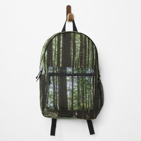 Item preview, Forest of tall trees in Muir Woods, California in 2024. designed and sold by blindphotog.