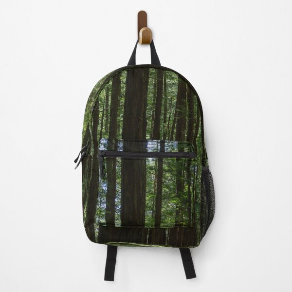 Item preview, Forest of tall trees in Muir Woods, California in 2024. designed and sold by blindphotog.