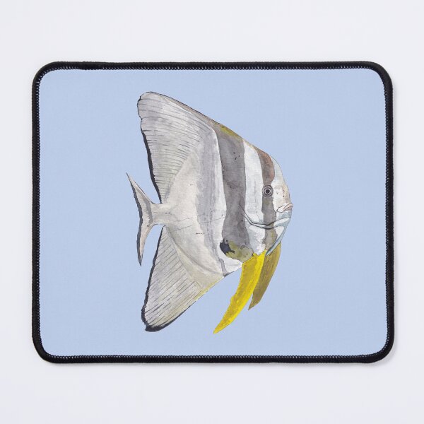 Item preview, LONGFIN BATFISH-Platax teira designed and sold by BEATRIZ ABAITUA.