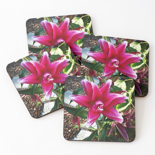 Item preview, In Bloom for You designed and sold by TSinclairArt.