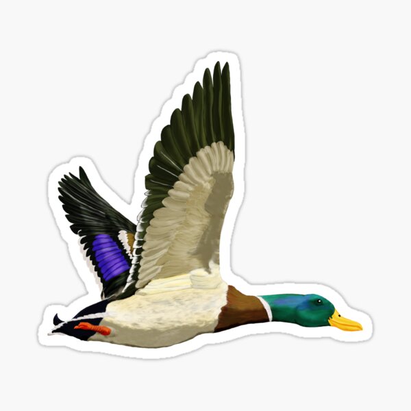 Vista previa del artículo con la obra «Pareja de patos silvestres en vuelo - Naturaleza, vida salvaje, arte», diseñado y vendido por Phat Dog Designs .