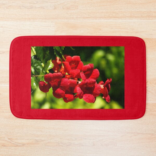 Item preview, Virginia Jasmine designed and sold by manoloshoping.