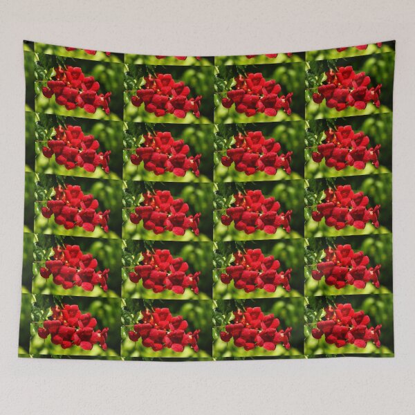 Item preview, Virginia Jasmine designed and sold by manoloshoping.