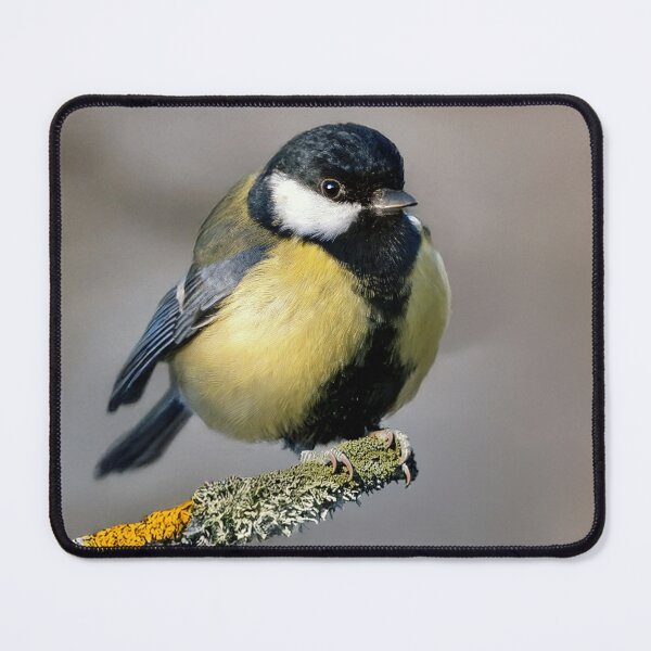Item preview, Great Tit designed and sold by Tom McPherson Photography.