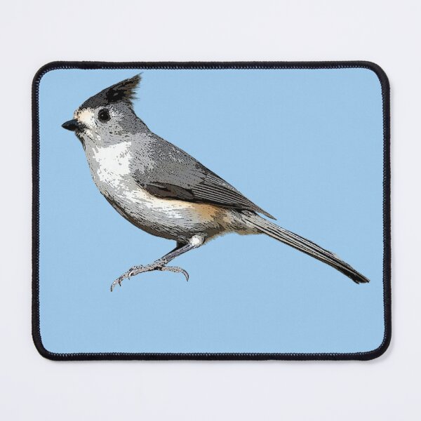 Item preview, Black-crested Titmouse Color Design designed and sold by designsasstultd.