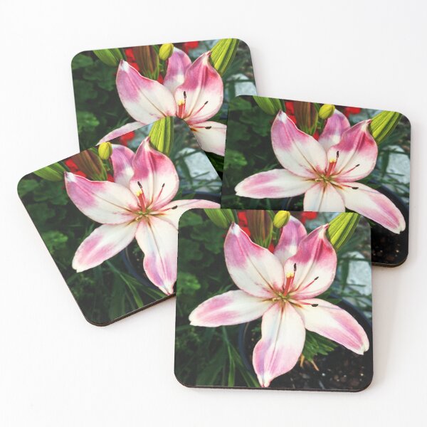 Item preview, Star Studded Lily designed and sold by TSinclairArt.