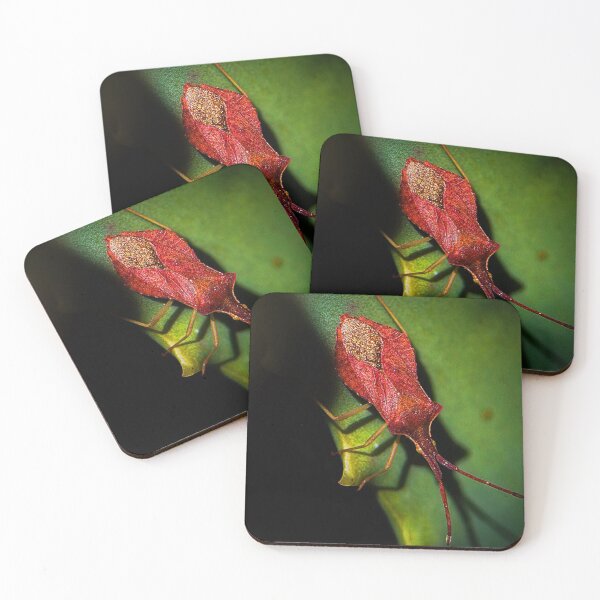 Item preview, Insect (MKW-I.37) designed and sold by Katrina Morgan.