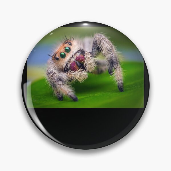 Item preview, Jumping Spider designed and sold by AdaOnio.