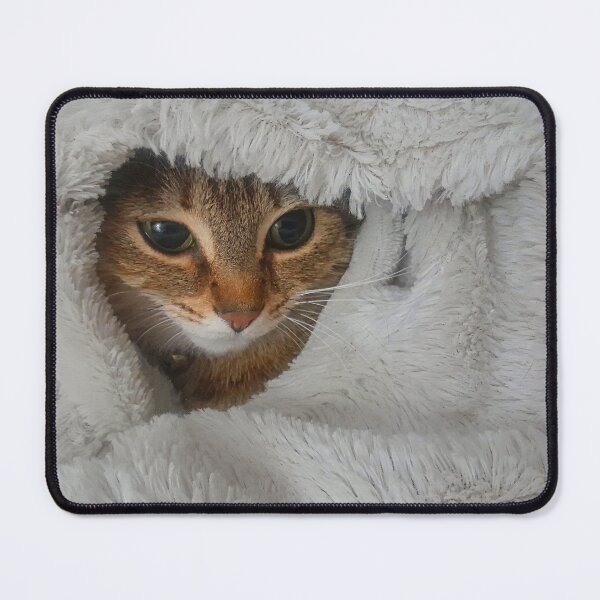 Item preview, Cuddles designed and sold by vernonplatt.
