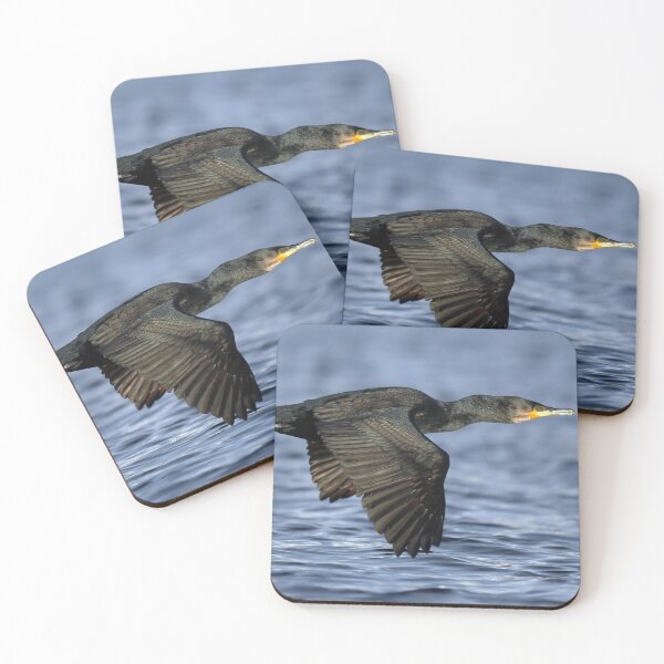 Item preview, European Shag designed and sold by Tom McPherson Photography.