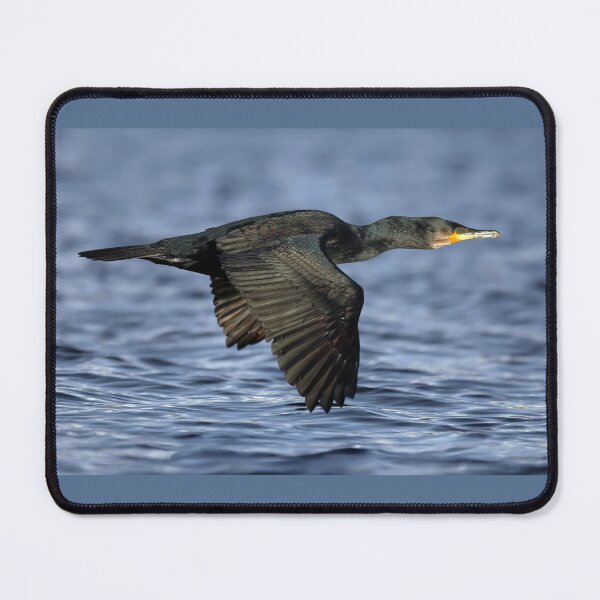 Item preview, European Shag designed and sold by Tom McPherson Photography.