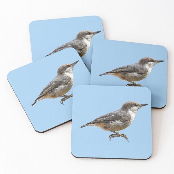 Item preview, Brown-headed Nuthatch Color Design  designed and sold by designsasstultd.