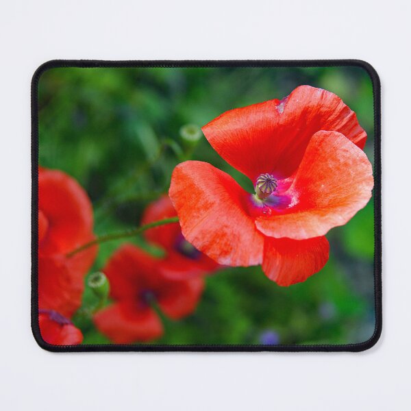 Item preview, Red poppy designed and sold by manoloshoping.